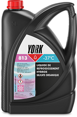 York 813 -37°